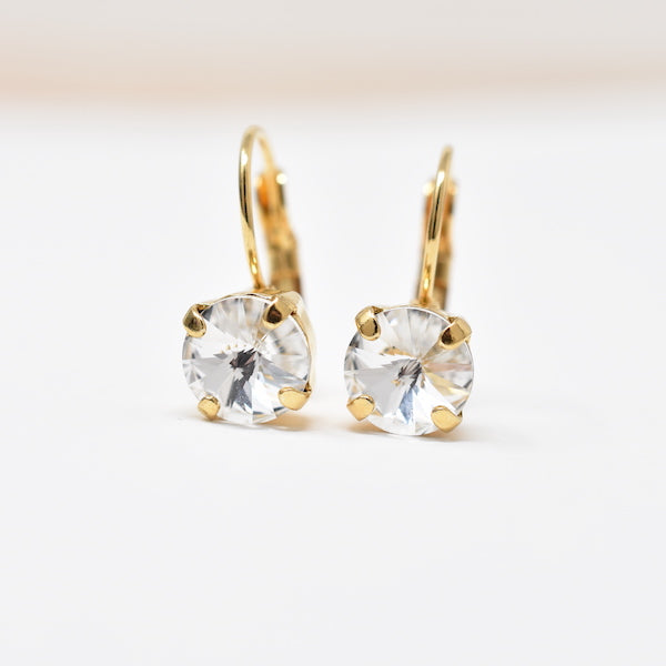 Caged Crystal Drop Earrings | 8mm