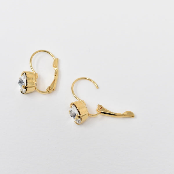 Caged Crystal Drop Earrings | 8mm