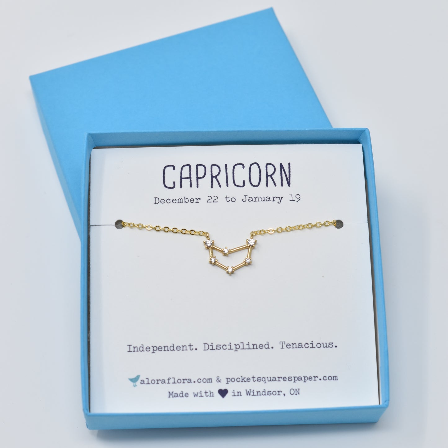 Capricorn Constellation Necklace